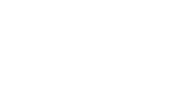 ursa-blanco